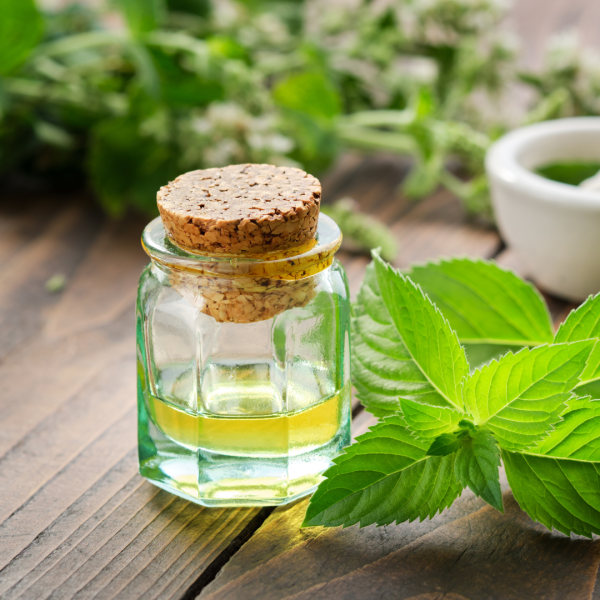 Ulei de Mentă