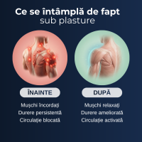 Plasturi cu Balsam de Tigru Delfino — calmare locală — imaginea 8